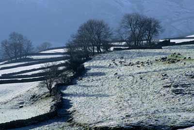 1130_Winter Pastures Cray